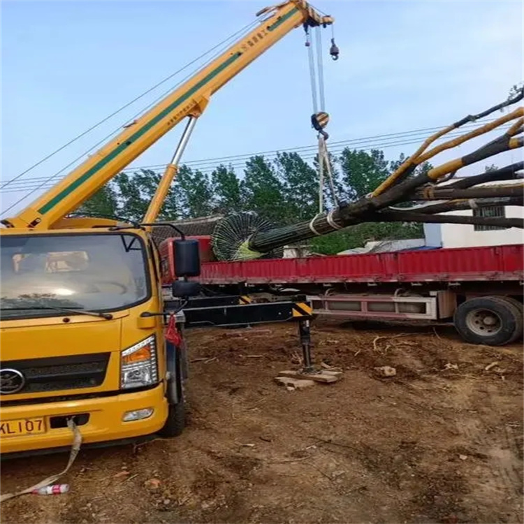 黄潭镇100吨吊车租赁费用怎么算？3大关键因素+省钱技巧全解析